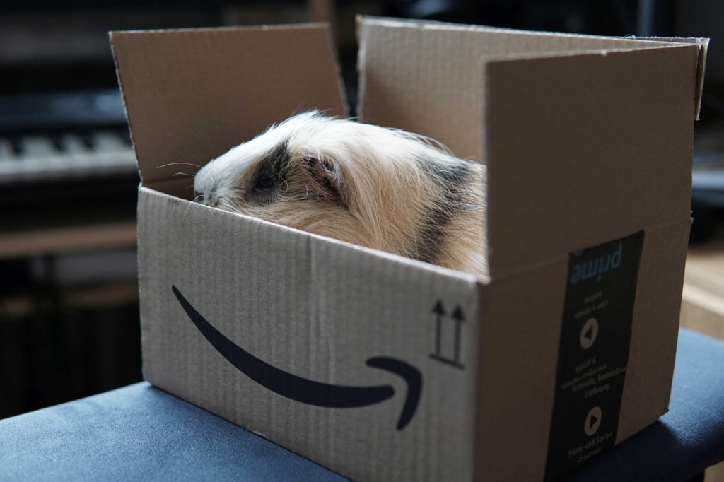 Herstellung Transportbox für Meerschweinchen