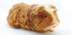 Merino Meerschweinchen